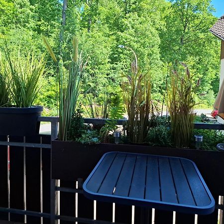 Ferienwohnung Waldzauber Bad Sachsa Exteriér fotografie